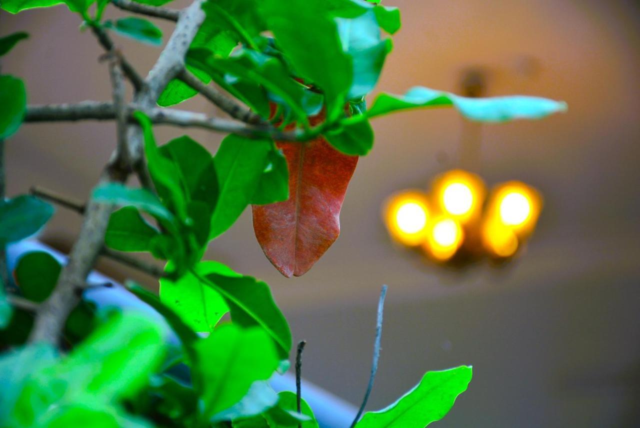 Yellow Homestay - Modern 2Bhk Ac Stay Jabalpur Extérieur photo